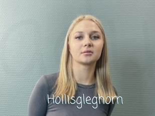 Hollisgleghorn