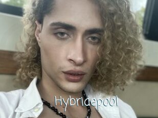 Hybridepool