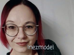 Inezmodel