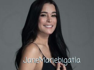 JaneMariebigatla