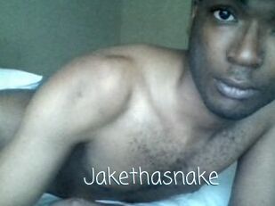 Jake_tha_snake