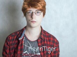 KevinTiger