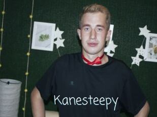 Kanesteepy
