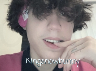 Kingsnowbunny