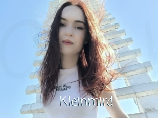 Kleinmird