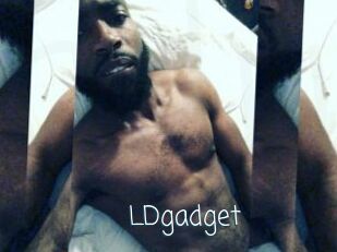 LDgadget