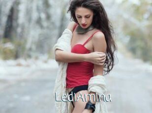 LediAmina