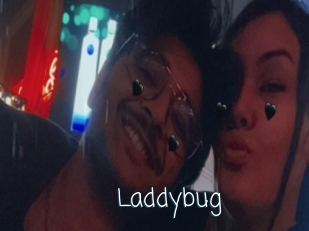 Laddybug