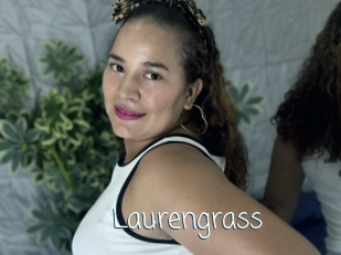 Laurengrass