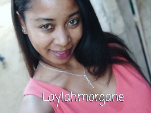 Laylahmorgane