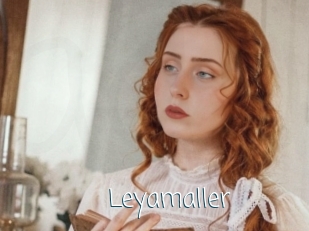Leyamaller