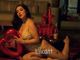 lilcatt Adult o Porn