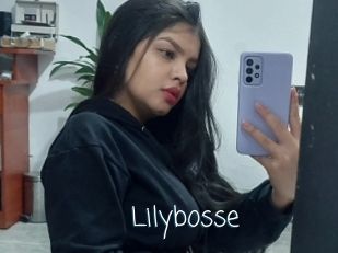 Lilybosse