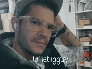 Litlebigguy