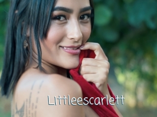 Littleescarlett