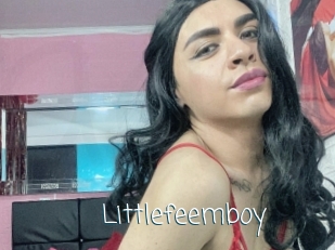 Littlefeemboy