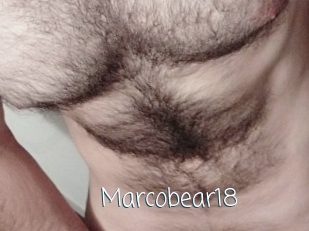 Marcobear18