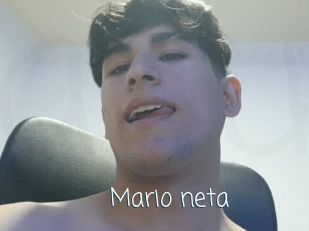 Mario_neta