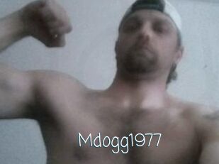 Mdogg1977