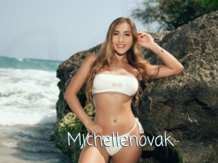 Michellenovak