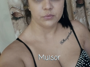 Muisor