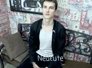 Nedcute