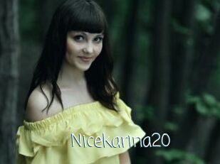 Nicekarina20