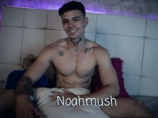 Noahmush