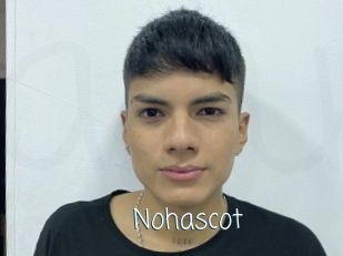 Nohascot