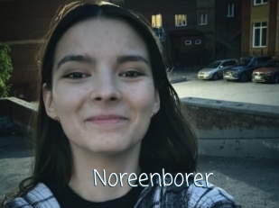 Noreenborer