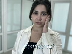 Normaarnet