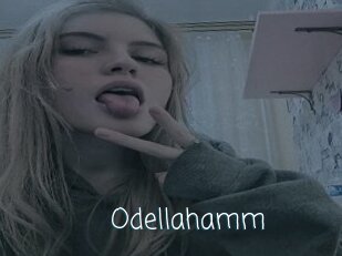 Odellahamm