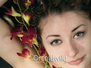 Orchidwild