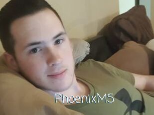 PhoenixMS