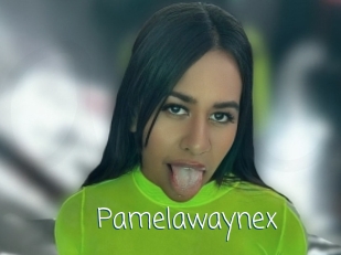 Pamelawaynex