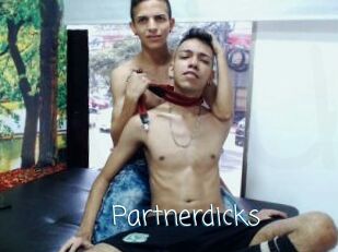 Partnerdicks