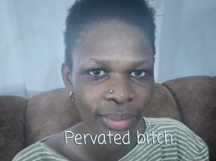 Pervated_bitch