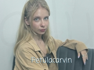 Petulacarvin