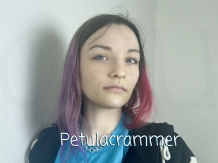 Petulacrammer