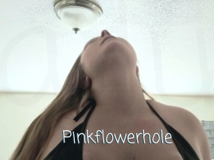 Pinkflowerhole