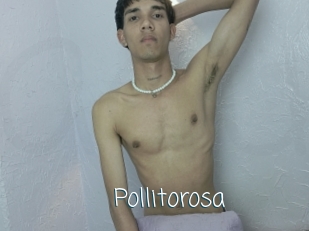 Pollitorosa