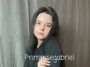 Primrosegabriel