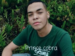 Prince_cobra