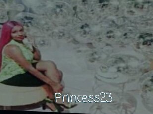 Princess23