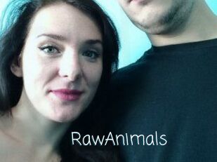 RawAnimals