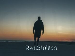 RealStallion