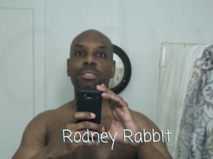 Rodney_Rabbit