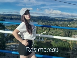 Rosimoreau