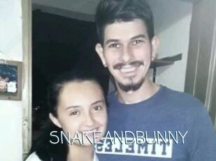 SNAKEANDBUNNY