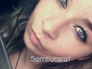 Sambucacat